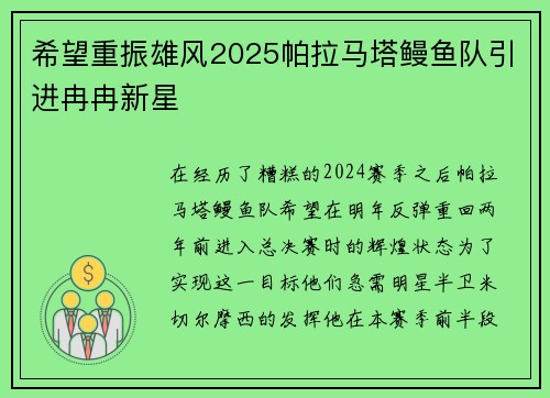 希望重振雄风2025帕拉马塔鳗鱼队引进冉冉新星